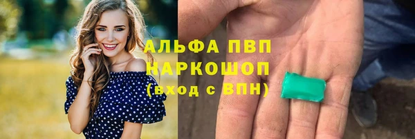 гашик Баксан